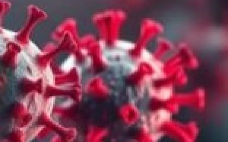 भारत में HMPV वायरस की एंट्री: बेंगलुरु में मिला पहला केस