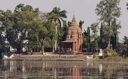 प्राचीन संस्कृति और पर्यटन का संगम है पलारी का सिद्धेश्वर शिव मंदिर