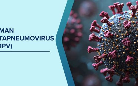 HMPV को लेकर स्वास्थ्य विभाग ने जारी की नई गाइडलाइन