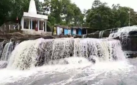 मन को तरोताजा कर देगा हरी-भरी वादियों में बहने वाली नरहरा जलप्रपात