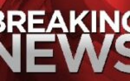 भारतीय जनता पार्टी के नए प्रदेश अध्यक्ष की घोषणा आगामी 17 जनवरी को