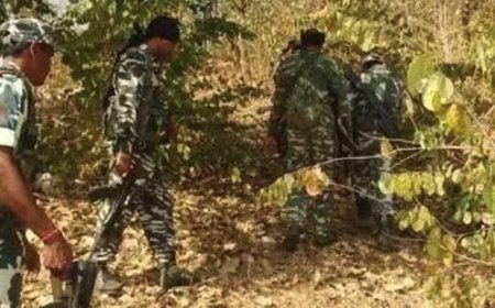 सुरक्षाबलों ने चार नक्सलियों को मार गिराया