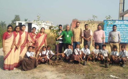 श्री राम मंदिर  प्राण प्रतिष्ठा की पहली वर्षगांठ की शुभ अवसर पर रोपे  गए पौधे