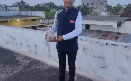 सोशल साइट्स पर लोगों से  अपने जन्मदिन पर  उपहार में  माँगते हैं  पौधे, फिर सार्वजनिक जगहो पर लगाते हैं - अश्वनी साहू