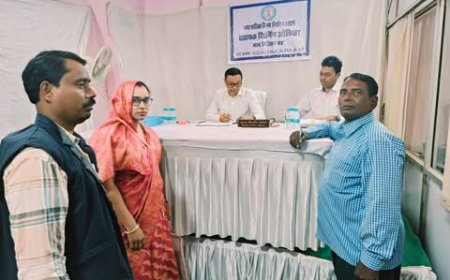 हेमा फणींद्र साहू(महमल्ला) तात्यापारा वार्ड 36 से छसपा की अधिकृत प्रत्याशी- लालाराम वर्मा