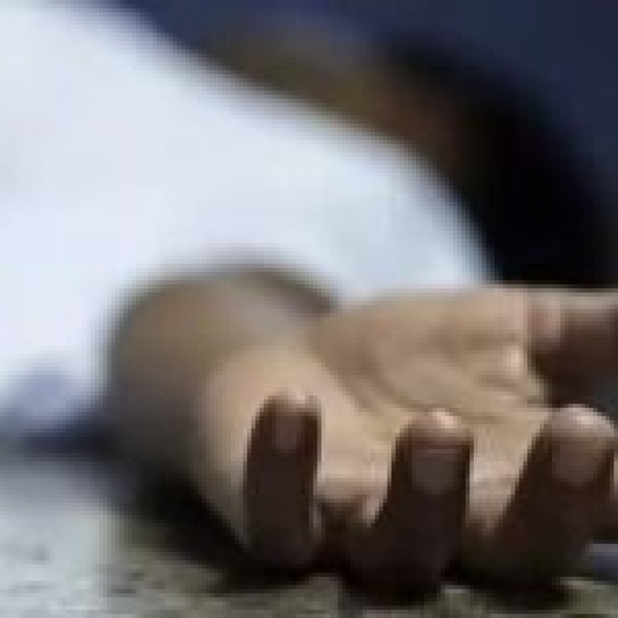 ब्रेकर ने लाई मुर्दे में जान...!, जानें कहां हुआ यह चमत्कारिक घटना...