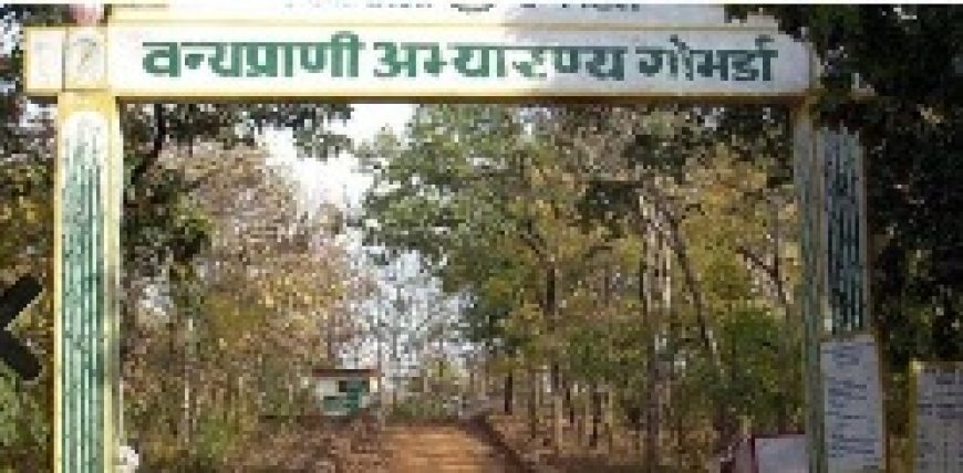 जैव विविधता को समेटा हुआ गोमर्डा अभ्यारण