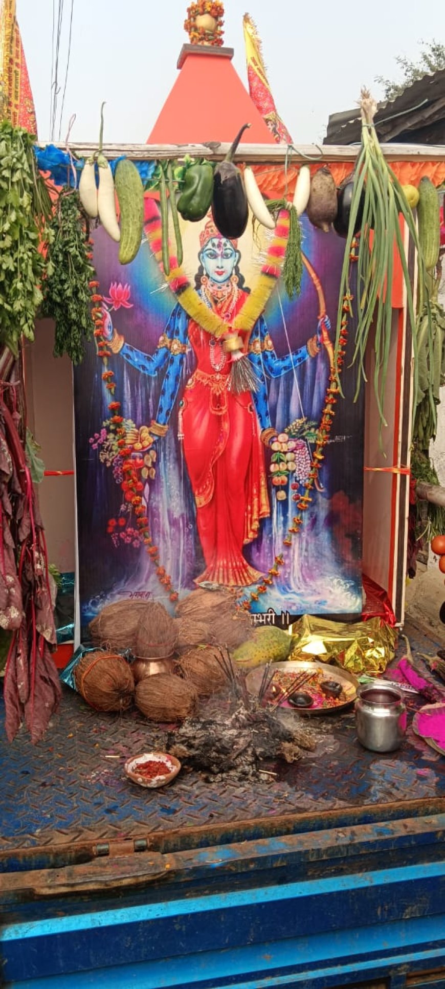 पटेल समाज सावनी ने मनाया धूम धाम से शाकंभरी जयंती