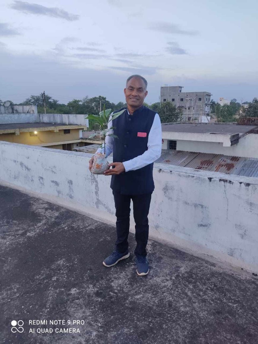 सोशल साइट्स पर लोगों से  अपने जन्मदिन पर  उपहार में  माँगते हैं  पौधे, फिर सार्वजनिक जगहो पर लगाते हैं - अश्वनी साहू