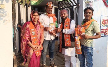 भाजपा प्रत्याशी दयानंद सोनकर का डोर टू डोर ,कहा - जन कल्याण कारी योजनाओ के दम पर हम जीत कर आयेंगे --