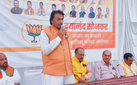 अमलेशवर में भाजपा कार्यकर्ता का विशाल सम्मेलन ,वरिष्ठ पदाधिकारी ने दिया निर्देश , सभी संगठित होकर करें कार्य