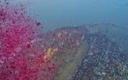 महाकुंभ का अंतिम 'अमृत स्नान'… अब तक 34.97 करोड़ से ज्यादा श्रद्धालुओं ने लगाई डुबकी