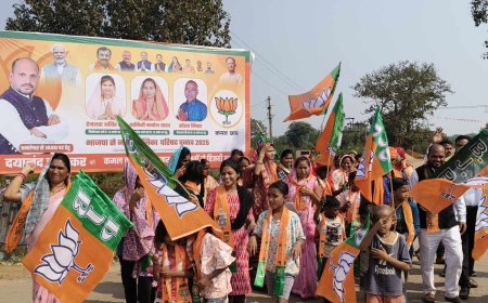 दयानंद के प्रचार में वरिष्ठ भाजपा नेता ,जितेंद्र वर्मा हुये शामिल ,लोगों को भाजपा के घोषणा पत्र से  भी कराये अवगत