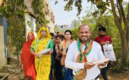 दिल्ली जीत पर बोले दयानंद - नगरी निकाय चुनाव पर भी पडेगा असर