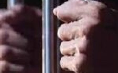 यूपी पुलिस की वर्दी पहनकर घूम रहा था फर्जी दरोगा, हुआ गिरफ्तार