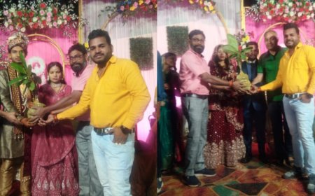 लोगों को गिफ्ट करने के लिये अपने घर में बादाम की पौधे तैयार कर रहे हैं,डाँ अश्वनी साहू