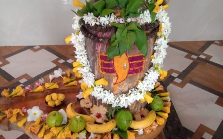 महाशिवरात्रि के अवसर पर शिवपार्क कॉलोनी अमलेश्वर में रुद्राभिषेक एवम महाभण्डारा का आयोजन