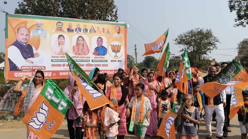 दयानंद के प्रचार में वरिष्ठ भाजपा नेता ,जितेंद्र वर्मा हुये शामिल ,लोगों को भाजपा के घोषणा पत्र से  भी कराये अवगत