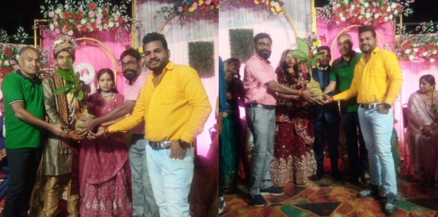 लोगों को गिफ्ट करने के लिये अपने घर में बादाम की पौधे तैयार कर रहे हैं,डाँ अश्वनी साहू