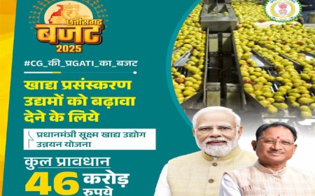 खाद्य प्रसंस्करण उद्यमों को बढ़ावा देने 46 करोड़ रुपये का बजटीय प्रावधान