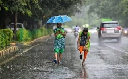प्रदेश के इन जिलों में बारिश और आंधी की चेतावनी