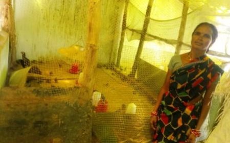 महिला दिवस पर विशेष: चंद्रिका बनी आत्मनिर्भरता की मिसाल ,  संतोषी ने परिवार को दी आर्थिक मजबूती,  अनिता को मिली एक नई पहचान, उन्नत खेती से लखपति बनीं दयावती