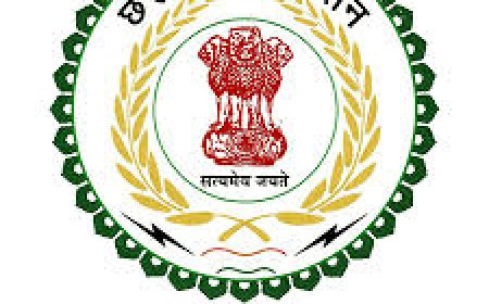 CGPSC प्रीलिम्स 2024 का रिजल्ट जारी, 3737 अभ्यर्थी मेंस के लिए क्वालीफाई