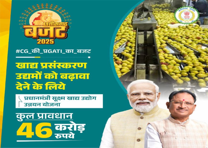 खाद्य प्रसंस्करण उद्यमों को बढ़ावा देने 46 करोड़ रुपये का बजटीय प्रावधान
