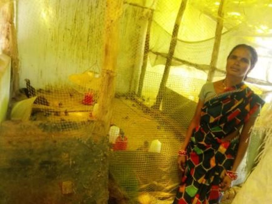 महिला दिवस पर विशेष: चंद्रिका बनी आत्मनिर्भरता की मिसाल ,  संतोषी ने परिवार को दी आर्थिक मजबूती,  अनिता को मिली एक नई पहचान, उन्नत खेती से लखपति बनीं दयावती