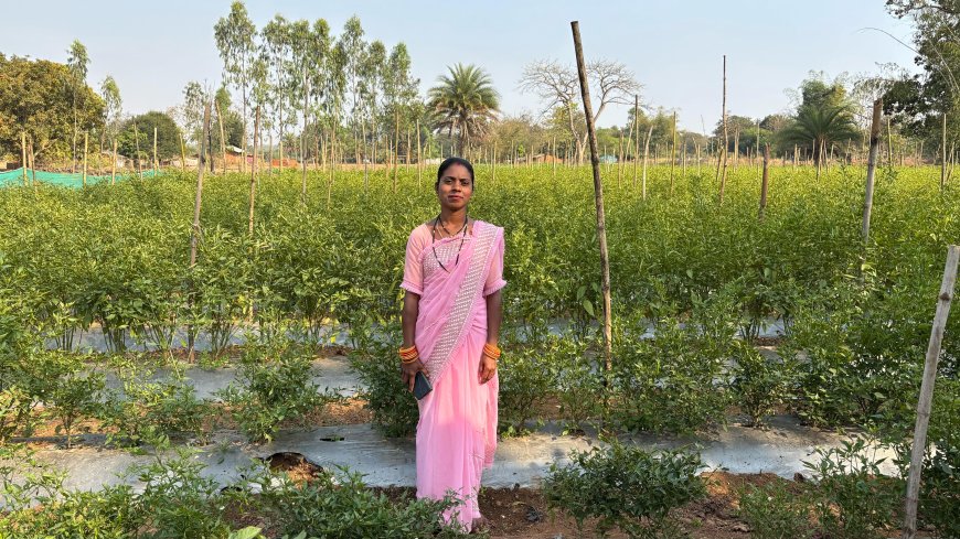 महिला दिवस पर विशेष: चंद्रिका बनी आत्मनिर्भरता की मिसाल ,  संतोषी ने परिवार को दी आर्थिक मजबूती,  अनिता को मिली एक नई पहचान, उन्नत खेती से लखपति बनीं दयावती