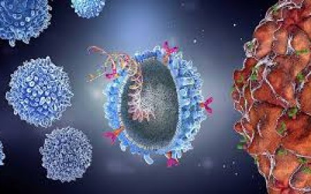 केदारनाथ यात्रा से पहले बड़ा खतरा, प्रशासन ने किया क्वारंटीन रुद्रप्रयाग में 12 खच्चरों में मिला खतरनाक वायरस