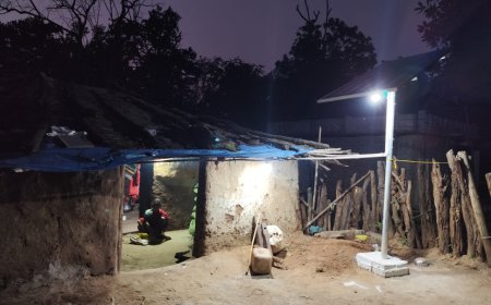 सौर ऊर्जा से रोशन हुए 25 बैगा परिवारों के आशियाने