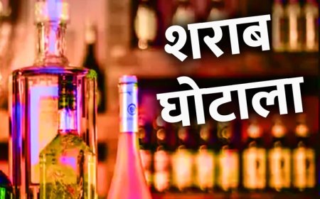 छत्तीसगढ़ के बहुचर्चित आबकारी घोटाले की जांच में  हुआ है बड़ा खुलासा