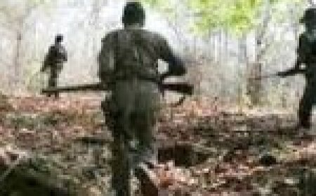 सुरक्षा बलों ने 5 नक्सलियों को मार गिराया, सभी का शव बरामद, मुठभेड़ जारी