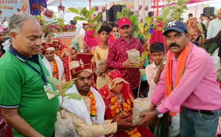 पर्यावरण मित्र समिति के सक्रिय सदस्य संजू साहू ने भेंट किए बादाम की पौधे