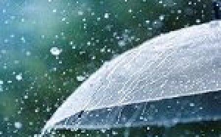 चालू खरीफ सीजन में हुई पर्याप्त बारिश, राज्य में अच्छे फसल के आसार