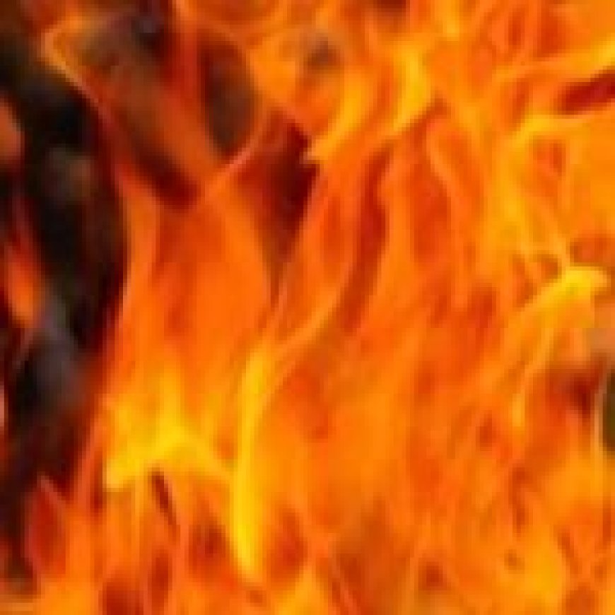 प्रयागराज में महाकुंभ को टेंट से बसाने वाले लल्लूजी के गोदाम में भीषण आग, आग बुझाने पहुंची सेना