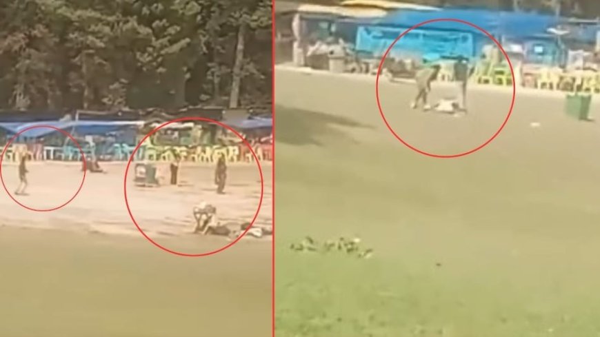 गोलियों की आवाज, चीख-पुकार और दहशत... सामने आया पहलगाम हमले के वक्त का VIDEO, दिखा भयावह मंजर