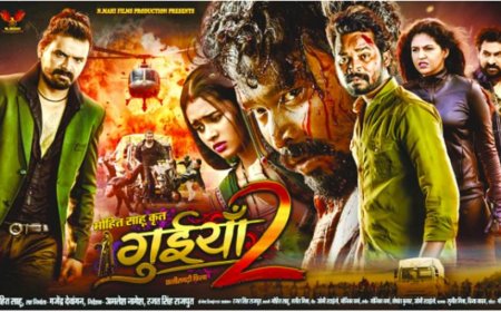 छत्तीसगढ़ के 60 सिनेमाघरों में रिलीज होगी बहुप्रतीक्षित फिल्म गुइंया-2
