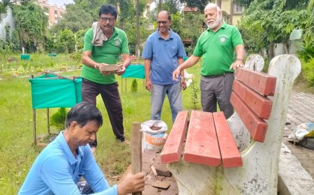 बदहाली से बाहर तक:ग्रीन आर्मी ने कबाड़ की जुगाड से रोशन किया सखी सहेली गार्डन
