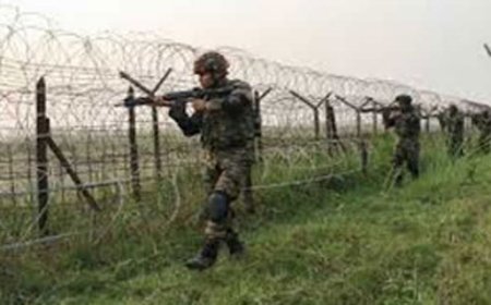 एलओसी पर पाकिस्तान ने किया संघर्ष विराम का उल्लंघन