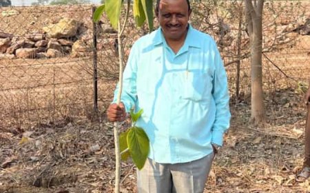 वरिष्ठ पत्रकार सुरेंद्र शर्मा ने अपने जन्मदिन पर बरगद के पौधे का रोपण कर दिया  ,पर्यावरण संरक्षण का संदेश