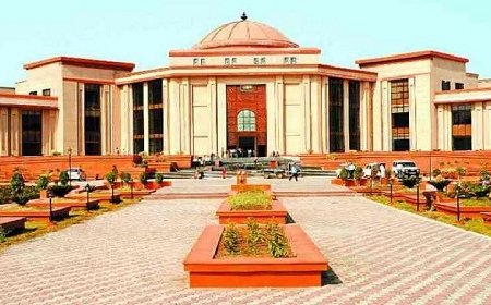 माता-पिता और बच्चों का संबंध सिर्फ आर्थिक नहीं, बल्कि भावनात्मक भी है : हाई कोर्ट