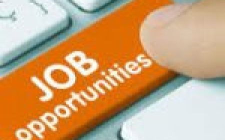 प्लेसमेंट कैम्प 27 मई को : निजी कंपनी में 50 पदों पर सीधी भर्ती का सुनहरा मौका