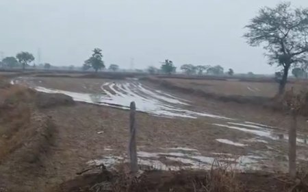 नवतपा में बारिश बनी राहत और परेशानी: किसानों की तैयारी पर पानी फिरा