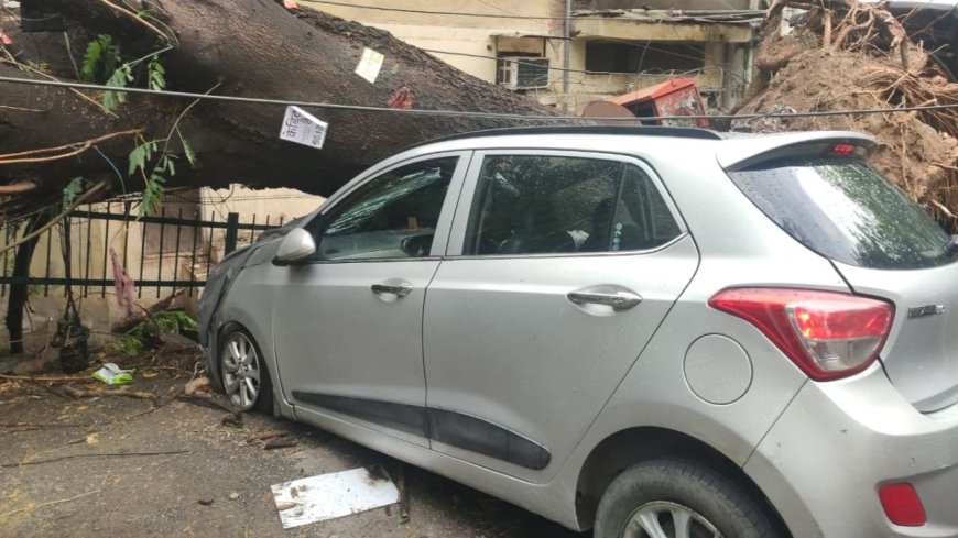 कहीं पेड़ों की जड़ में लटकी कार, कहीं पानी के अंदर सड़क... आंधी-बारिश से तबाही की तस्वीरें
