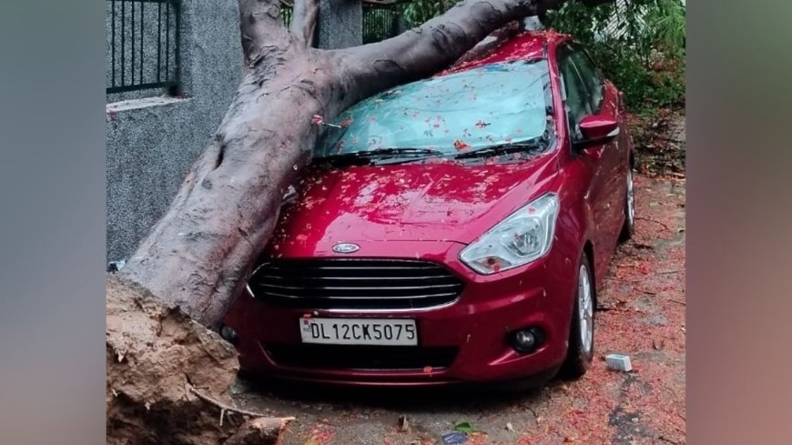 कहीं पेड़ों की जड़ में लटकी कार, कहीं पानी के अंदर सड़क... आंधी-बारिश से तबाही की तस्वीरें