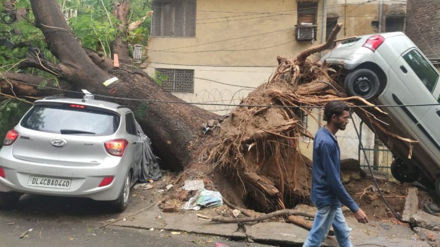 कहीं पेड़ों की जड़ में लटकी कार, कहीं पानी के अंदर सड़क... आंधी-बारिश से तबाही की तस्वीरें