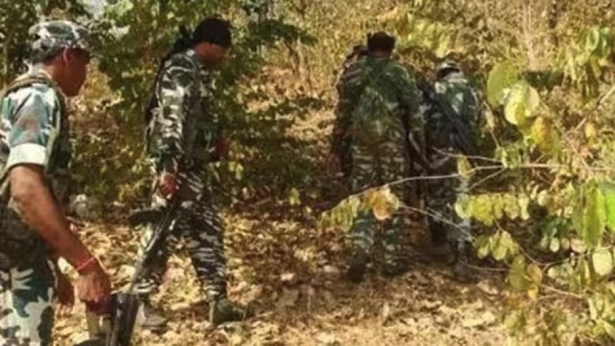 बीजापुर में मुठभेड़: 1 नक्सली ढेर
