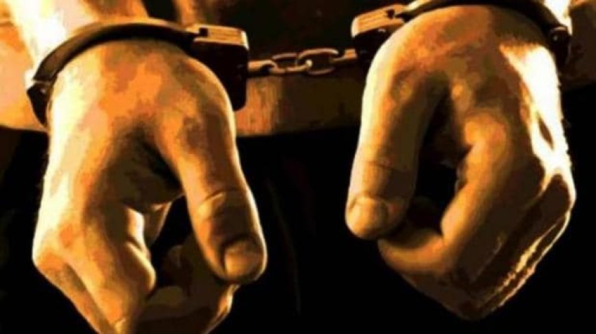 एक बड़े वित्तीय घोटाले का खुलासा, 11 गिरफ्तार